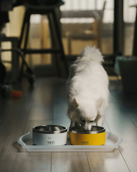 How Can You Keep Your Dog’s Water Cool in Hot Weather? Try This YETI Non-Slip Dog Bowl! - Shop Around The Palm