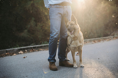 How Can You Stop Unwanted Barking or Interrupt Dog Fights? Try This Ultrasonic Barking Deterrent Device! - Shop Around The Palm