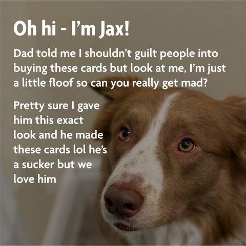 Emergency Pet Cards